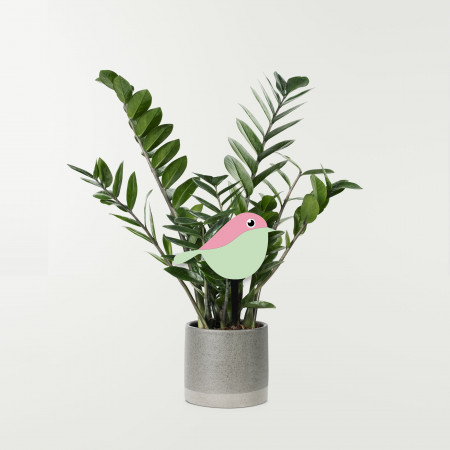 pic plante motif oiseau rose vert