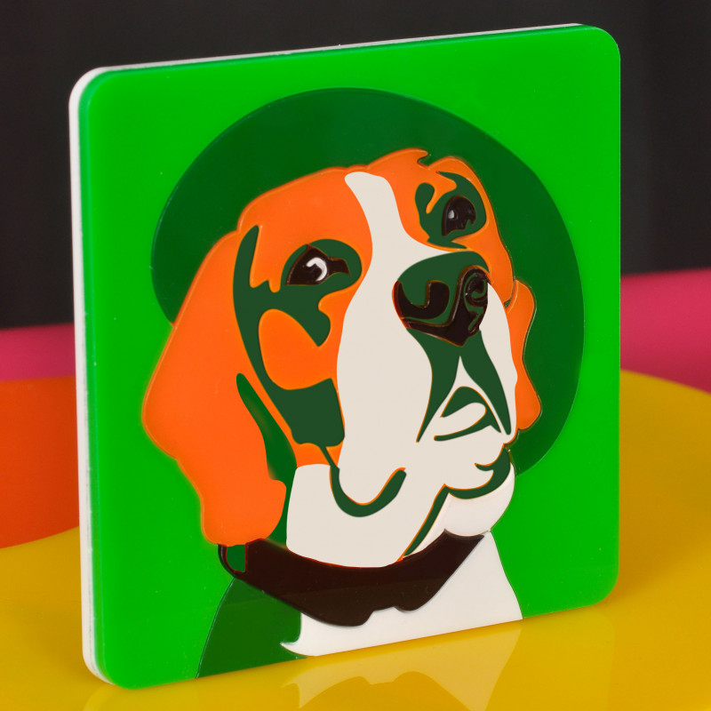 tableau plexi beagle