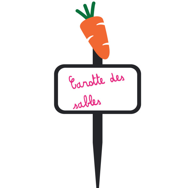 pic a plante carotte